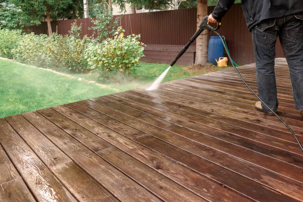 Best Pool Deck Cleaning  in Jamul, CA